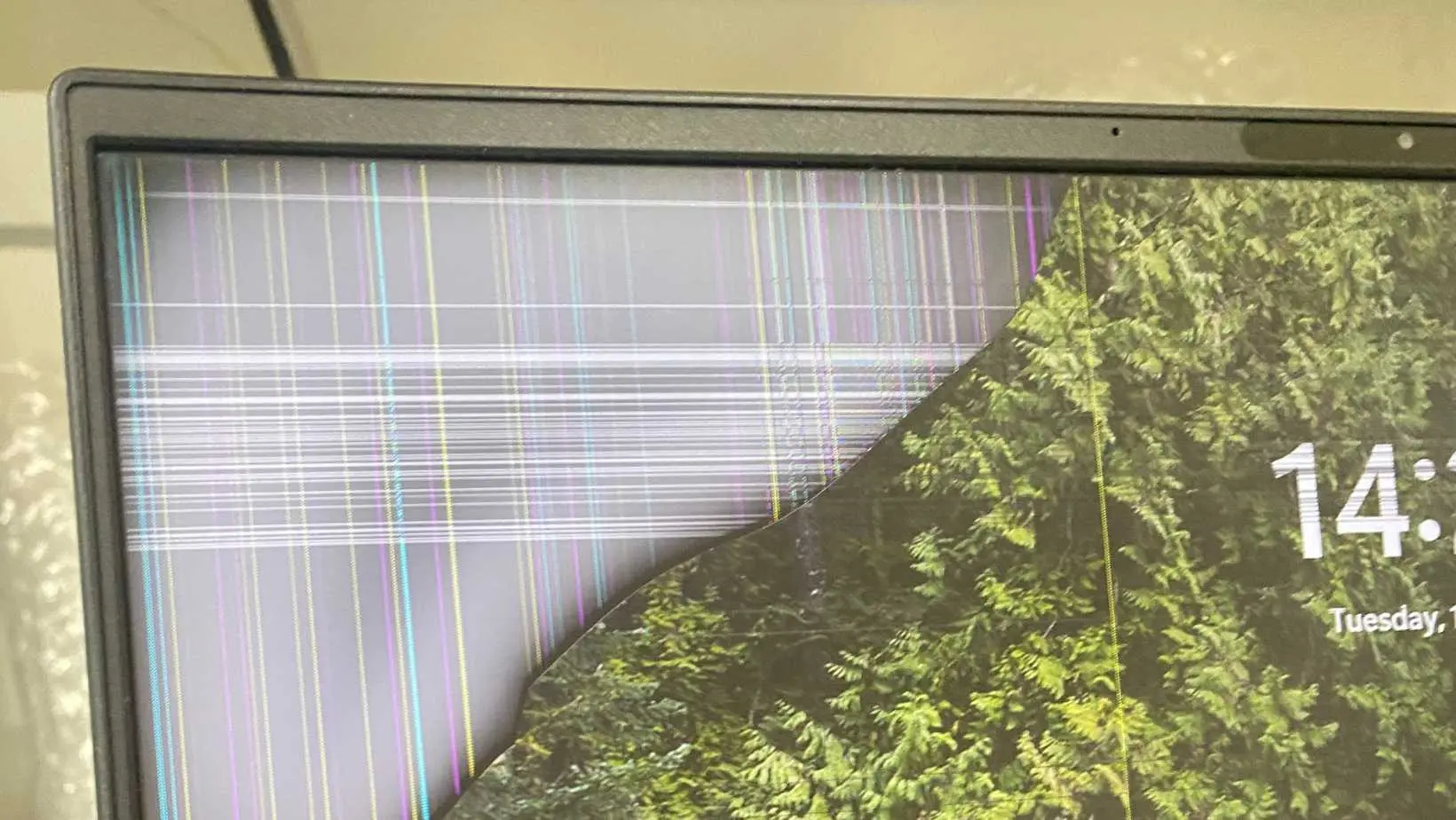 kiểm tra màn hình laptop có sọc