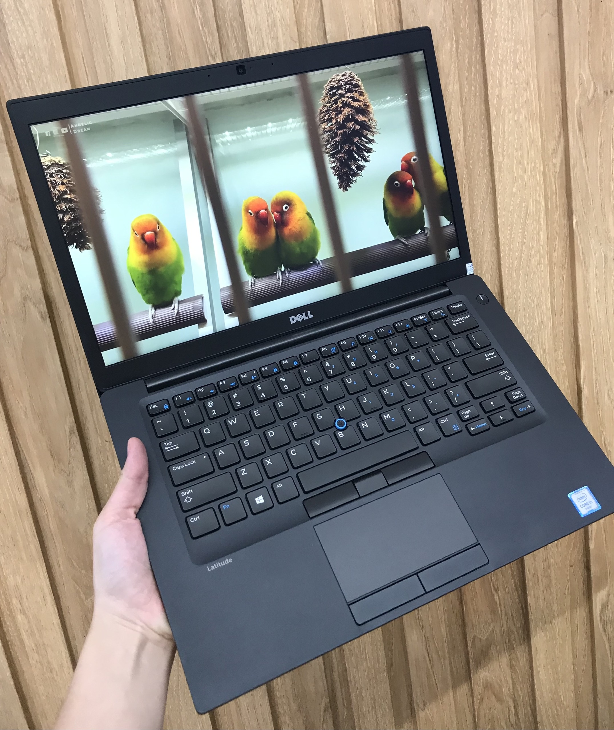 Laptop Dell Latitude E7490/ i5 8250 8CPUS/ 8G/ SSD256/ 14in i5 8250U/intel UHD/8GB /512GB /14" FHD